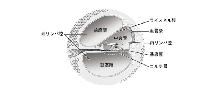 蝸牛