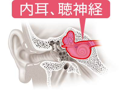 音を伝える部分